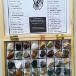 A wooden box containing rocks and minerals from Palestine