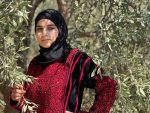 Handmade Palestinian embroidered Thobe with Velvet fabric - Image 17