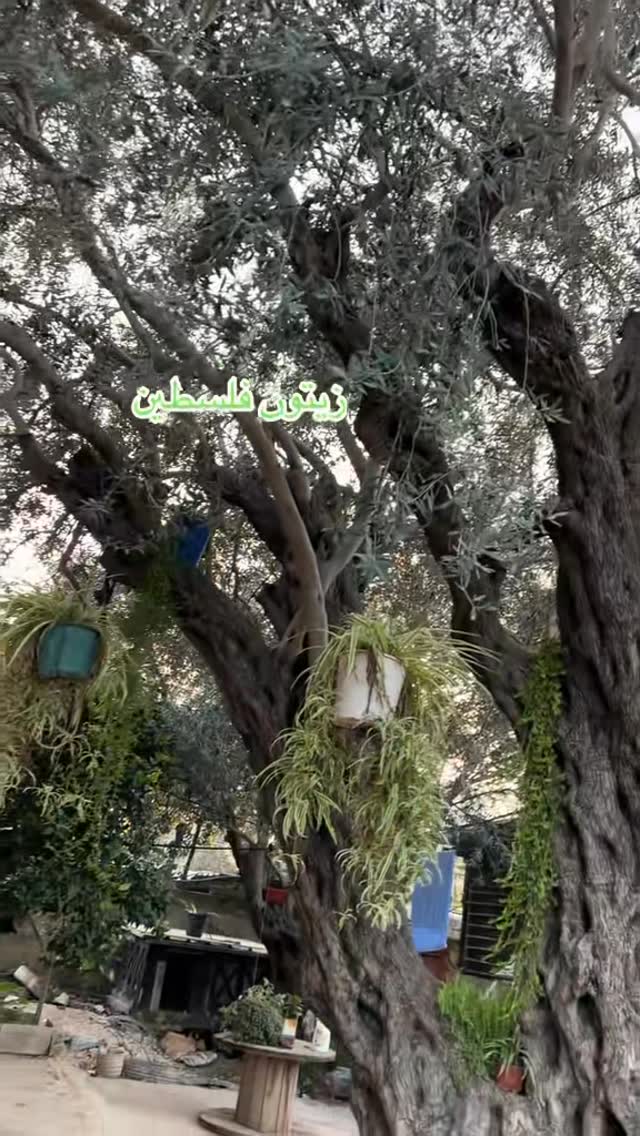 Home Handmade 42 Home Handmade 34