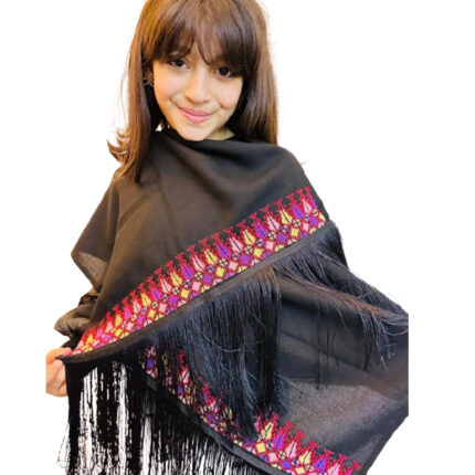 Embroidered Shawl "Jerusalem Triangles"